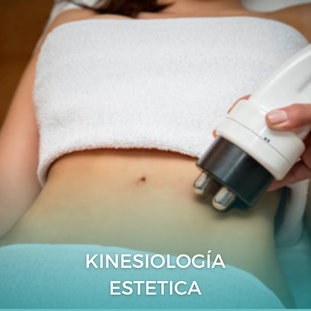 kinesiologia estacion central