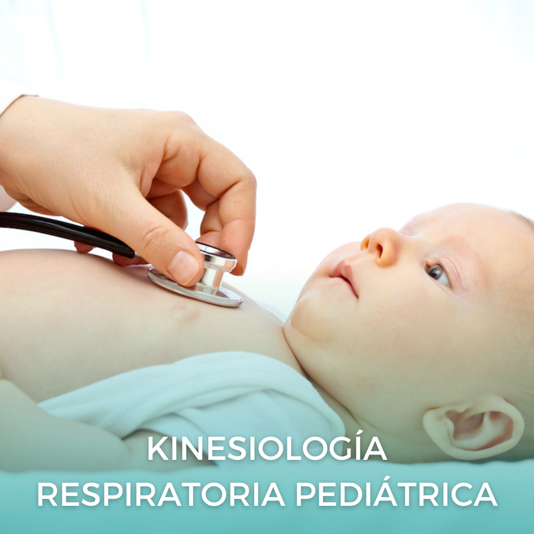 kinesiologia sesiones